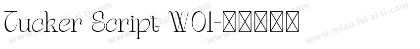 Tucker Script W01字体转换